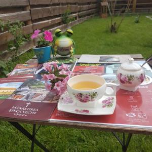 Afbeelding uit fotogalerij van Pensiunea Silba in Vad