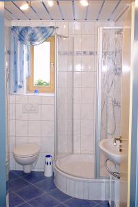 a bathroom with a shower and a toilet and a sink at Arber Ferienwohnungen Friedl in Bayerisch Eisenstein
