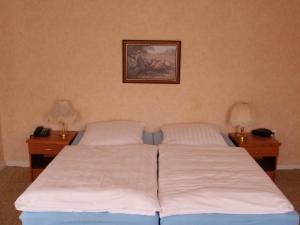 Postel nebo postele na pokoji v ubytování Hotel Richthofen