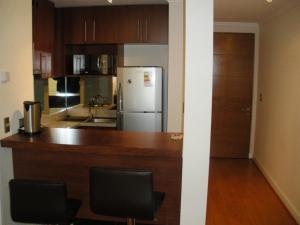 聖地亞哥的住宿－柏濤妮提帕米思酒店，厨房配有柜台和冰箱。