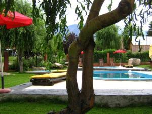 a tree next to a swimming pool in a yard at Cabañas Tierra del Sol Aldea de Montaña in Los Árboles +79 photos