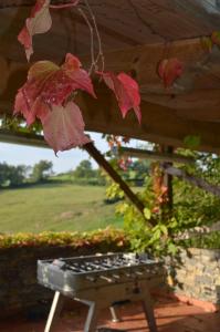 a picnic table with red leaves hanging from a roof at Complejo turístico Quinta La Espadaña in Bedriñana