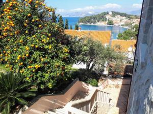 an orange tree with a bunch of oranges on it at City apartments Bobic in Cavtat
