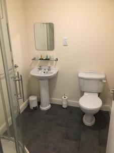 a bathroom with a toilet and a sink at The Stables Kings Ripton in Huntingdon