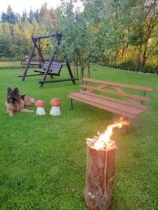 Zdjęcie z galerii obiektu Święty Spokój Bieszczady 782-047-324 w mieście Ustrzyki Dolne