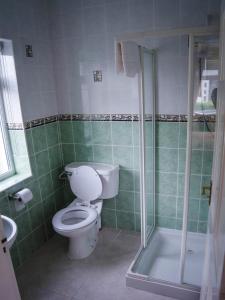a bathroom with a toilet and a shower at Lissadell Holiday Apartment in Buncrana