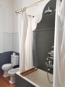 a bathroom with a toilet and a shower with a shower curtain at Villa CALVI Lago Maggiore in Premeno +47 photos