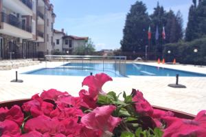 a pot of pink flowers in front of a swimming pool at Horizont Apartments in Sunny Beach