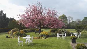 a group of white chairs and tables and a tree with pink flowers at Grovefield House Hotel in Slough