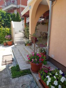 a patio with potted plants and flowers next to a building at Sobe Nedović in Budva