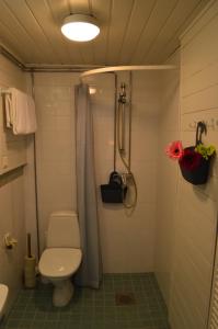a bathroom with a toilet and a shower and a sink at Villa Björksten in Loviisa +54 photos