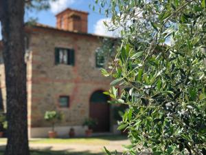 Zahrada ubytování Casa Il Ceppo