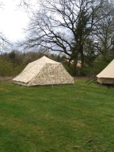 una gran tienda en un campo de hierba en Tent-Ok Meppen, en Meppen