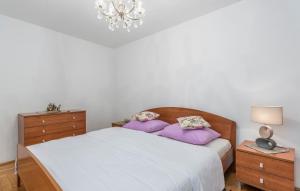 Gallery image of Apartment Complex Blazevic in Vabriga +17 photos