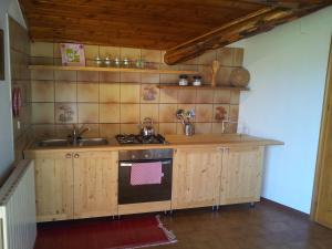 a kitchen with a sink and a stove at I Tre Ciliegi Apartment in SantʼOmobono Imagna