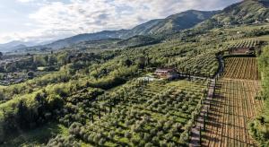 an aerial view of a vineyard on a mountain at Appartamento con vista panoramica e piscina in Capannori