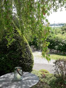 ノイブルク・アン・デア・ドナウにあるDie Mariaのギャラリーの写真