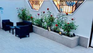 Gallery image of Hotel MaRailiS Mangalia in Mangalia