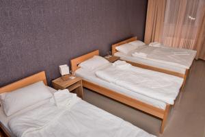 Galería fotográfica de Hotel Timok en Knjazevac.