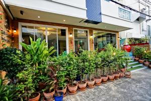 un grupo de plantas en macetas frente a una tienda en Ruen Buathong Boutique Hotel - SHA Certified en Patong Beach