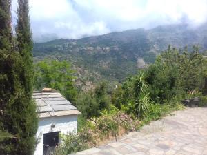 Imagen de la galería de Ikarian Centre - Accommodation & mountain hiking, en Evdilos