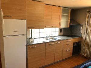 Kuchyňa alebo kuchynka v ubytovaní APARTAMENTO EN LA LAGUNA + 21 fotografií