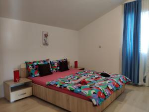 Postel nebo postele na pokoji v ubytování Apartment Onix