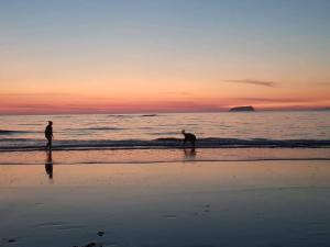 duas pessoas de pé na água na praia em The butterbean accomodation em Carndonagh