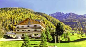 Gallery image of Hotel Alpenhof in Solda