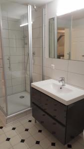 a bathroom with a sink and a shower with a mirror at Ferienhaus BARFLY in Traben-Trarbach