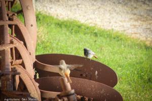 Gallery image of Agriturismo San Matteo in Tarquinia