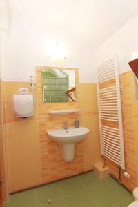 een badkamer met een wastafel en een spiegel bij Raza Soarelui in Sovata
