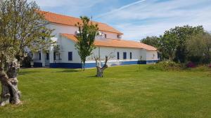 une maison blanche avec un arbre dans une cour dans l'établissement Quinta da Paz, à Borba