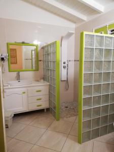 a bathroom with a sink and a shower with a mirror at Residence Clementine villa Douceur in Grand-Bourg