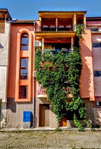 a building with a plant growing on the side of it at Guest House Maria in Nesebar
