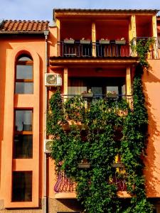 a building with lots of plants on the side of it at Guest House Maria in Nesebar