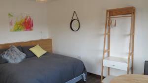 a bedroom with a bed and a mirror and a ladder at Apart Costanera in Villa Pehuenia