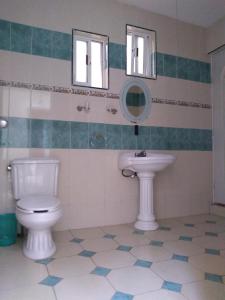 科米坦德多明格斯的住宿－Casa GoEs，一间带卫生间和水槽的浴室