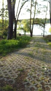 un chemin en pierre dans un parc avec des arbres et un banc dans l'établissement Natur-Freude-19p, à Kotzen