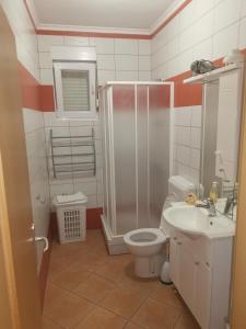 a bathroom with a shower and a toilet and a sink at Vila Murvica in Pag
