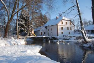 dom w śniegu z kaczkami w rzece w obiekcie BioFarma Dolejší Mlýn w mieście Kamberk