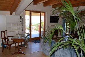a living room with a table and a potted plant at B&B Spring in Perugia