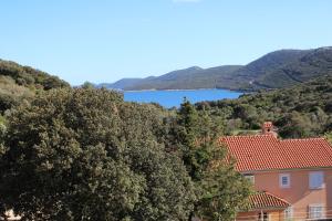 Galeriebild der Unterkunft Apartment Lilly in Nerezine