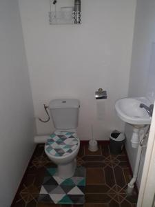 a bathroom with a toilet and a sink at les gites de la belle fleur in Le Gosier