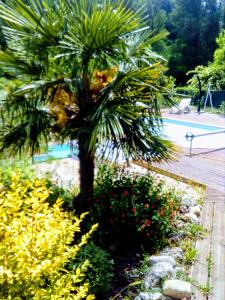 Zahrada ubytování Auberge de Barnas