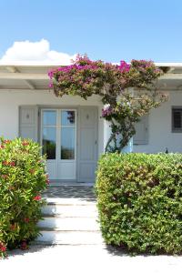 Vonkajšia záhrada v ubytovaní Golden Sand Paros