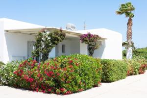 Vonkajšia záhrada v ubytovaní Golden Sand Paros