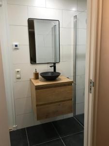 a bathroom with a sink and a mirror at B&B Trefkerk in Appelscha