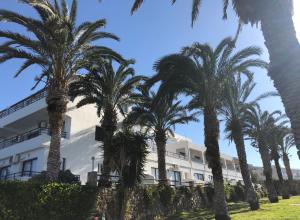 a row of palm trees in front of a white building at Vrachia Beach Hotel & Suites - Adults Only in Paphos