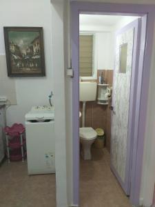 a bathroom with a toilet and a sink at Guest House Orlihome in Haifa